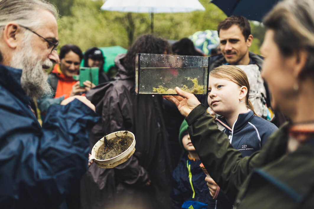 Festival pro čolka