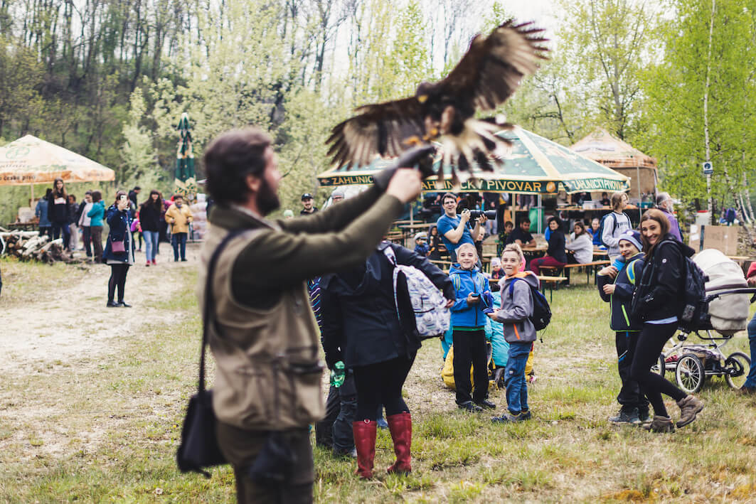 Festival pro čolka