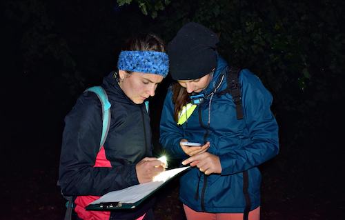Holešov Night Race