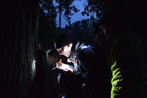Holešov Night Race